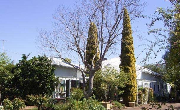 Jacaranda Guest House Busselton Εξωτερικό φωτογραφία